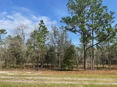 SW 67th Lane, Ocala, FL 34481