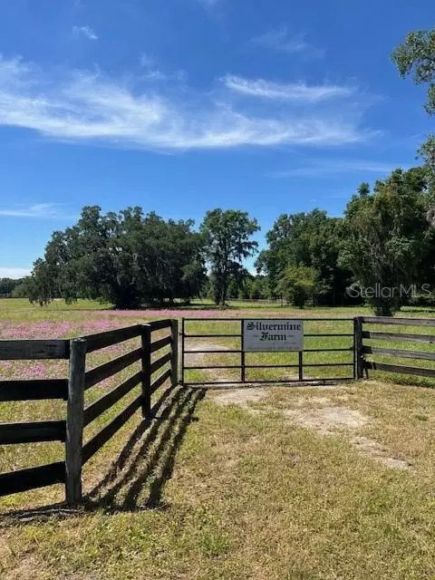 Tbd W 316 Highway, Williston, FL 32696