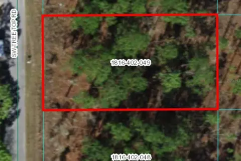 Sw Tree Top Rd, Dunnellon, FL 34431