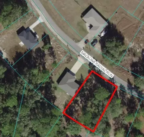 0 Malauka Radial Run Rd, Ocklawaha, FL 32179