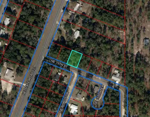 15955 NE 13th St, Williston, FL 32696 photo 2