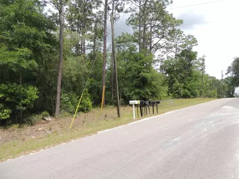15955 NE 13th St, Williston, FL 32696 photo 5