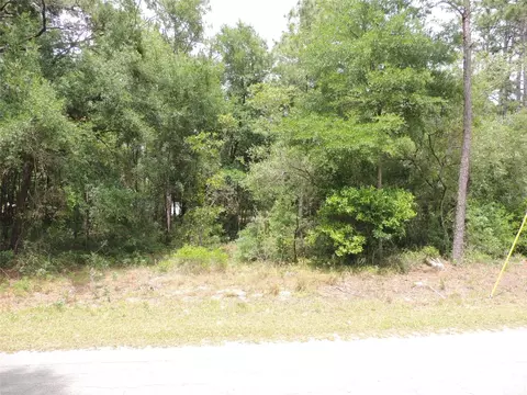 15955 NE 13th St, Williston, FL 32696 photo 6