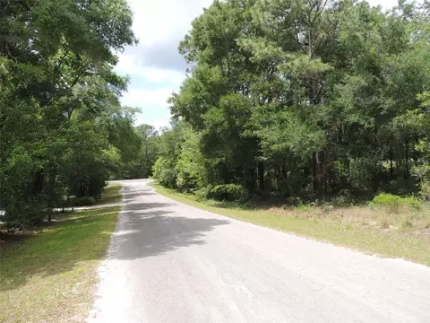 15955 NE 13th St, Williston, FL 32696 photo 3