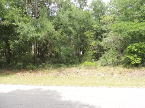 15955 NE 13th St, Williston, FL 32696 photo 4