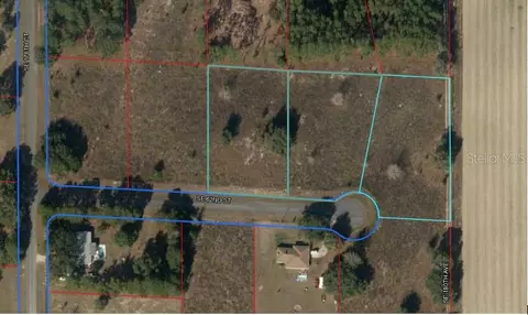Lot 13, Morriston, FL 32668