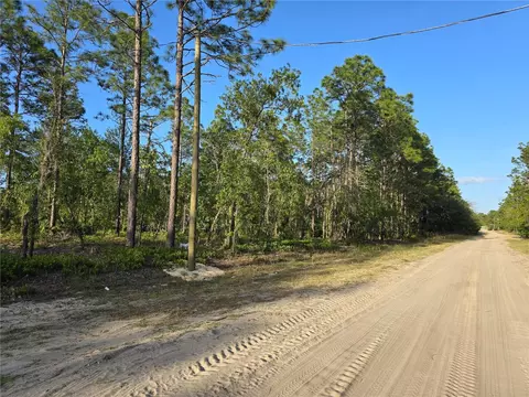 Tbd SW 99th Lane, Dunnellon, FL 34432