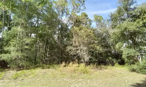 SW 206th Circle, Dunnellon, FL 34431