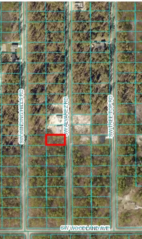 lot23 SW Alvarez Rd, Dunnellon, FL 34431