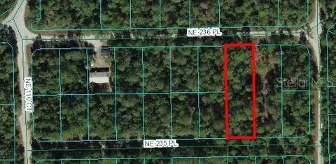 NE 236 Place, Fort Mc Coy, FL 32134