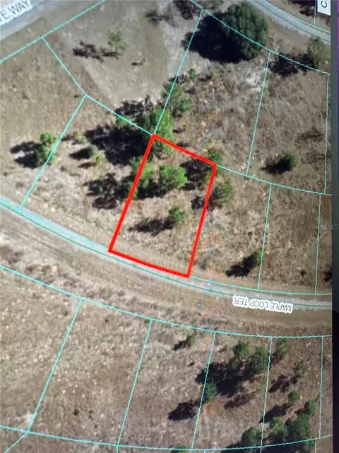 Maple Loop Ter, Ocklawaha, FL 32179