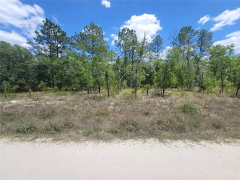 lot6 SW 121st Ter, Dunnellon, FL 34432