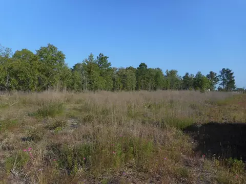 NE 118 Terrace, Bronson, FL 32621