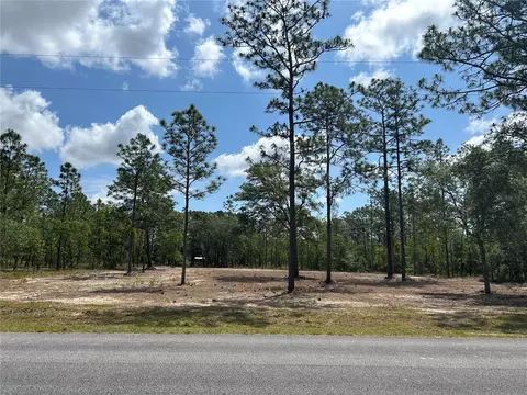 Tbd SE 128th Avenue, Dunnellon, FL 34431