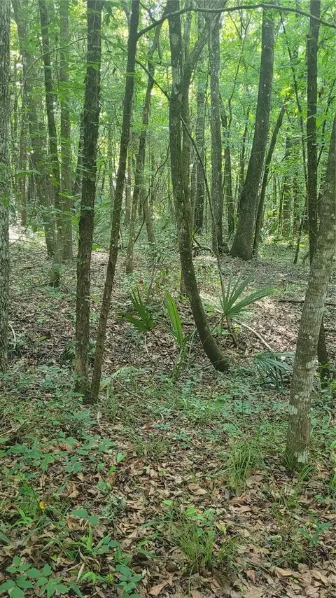 Lot 69 SE 41 Terrace, Belleview, FL 34420