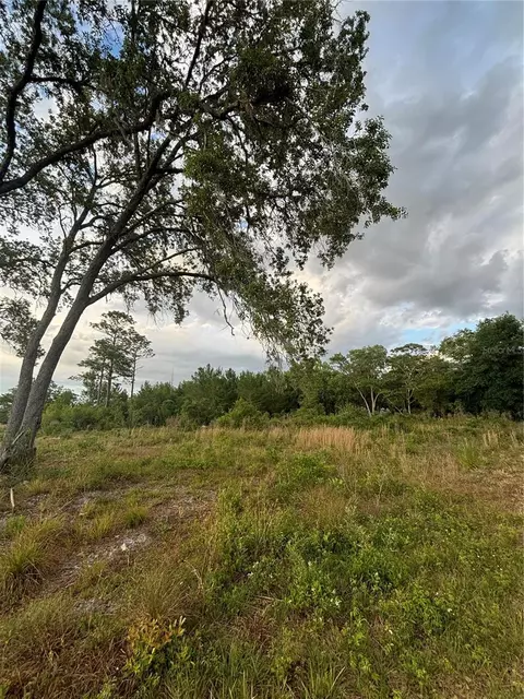 Tbd SW 148th Lane, Dunnellon, FL 34432