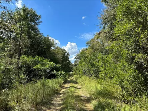000 NE 156th Ave, Williston, FL 32696 photo 5