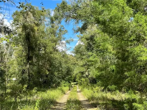 000 NE 156th Ave, Williston, FL 32696 photo 6