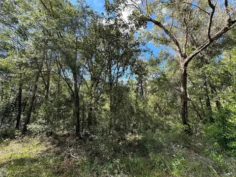 000 NE 156th Ave, Williston, FL 32696 photo 4