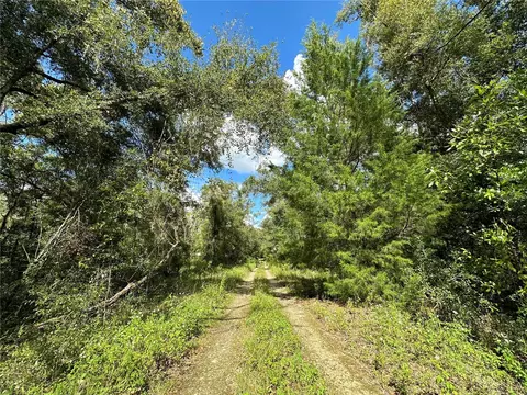 000 NE 156th Ave, Williston, FL 32696 photo 7