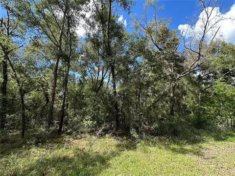 000 NE 156th Ave, Williston, FL 32696 photo 2