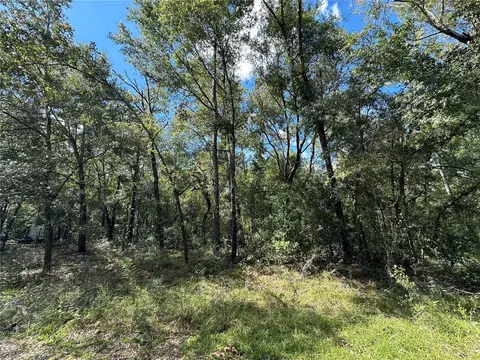 000 NE 156th Ave, Williston, FL 32696 photo 3
