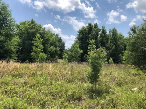 Lots 7, Dunnellon, FL 34432