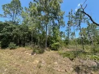 000 SW 115th Terrace43rd, Ocala, FL 34481