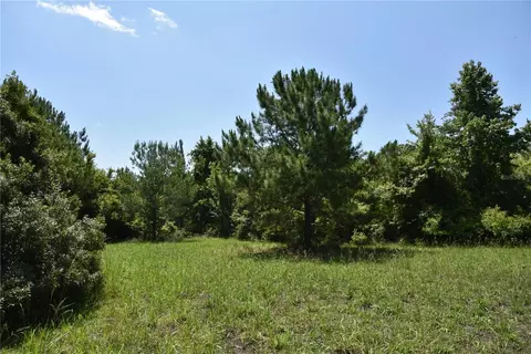 Nw 75th St, Alachua, FL 32615