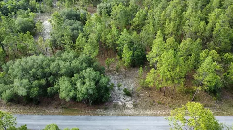tbd SW Mineola Ln, Dunnellon, FL 34431