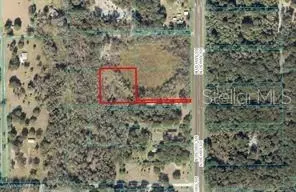 00 N Us Hwy 301, Citra, FL 32113