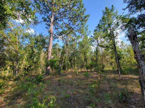 NE 60 Lane, Bronson, FL 32621