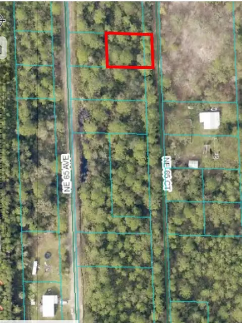 00 NE 65th Ct #LOT 49, Citra, FL 32113
