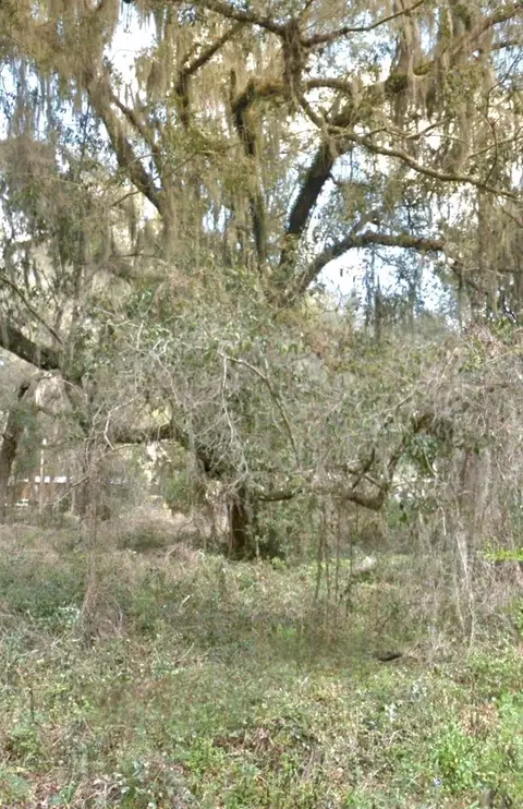 000 NE 192nd Pl, Citra, FL 32113