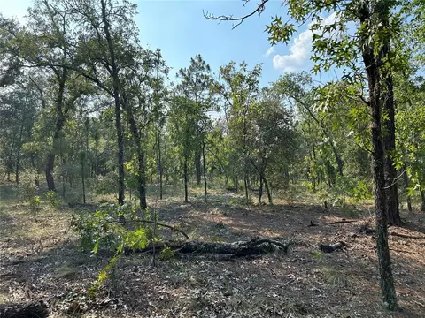 Tbd SE 63rd Lane, Morriston, FL 32668