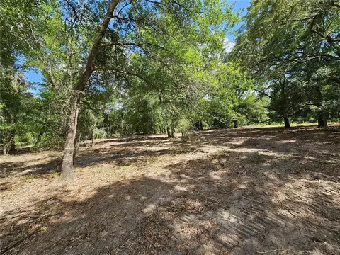 Tbd SE 65 Street Road, Ocklawaha, FL 32179