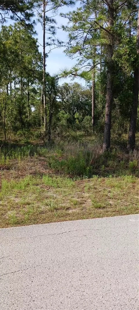 1 SW Sea Cliff Ave, Dunnellon, FL 34431