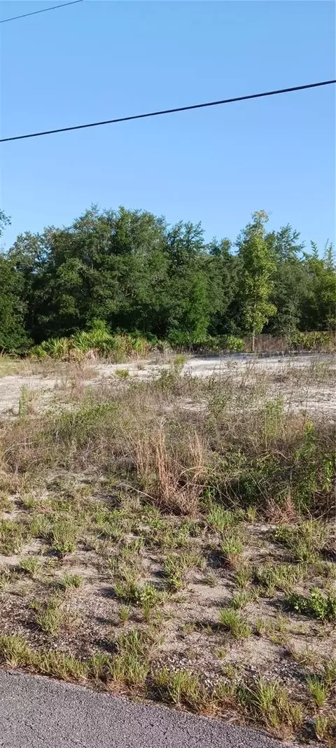 Sw South Lakes Court, Dunnellon, FL 34431