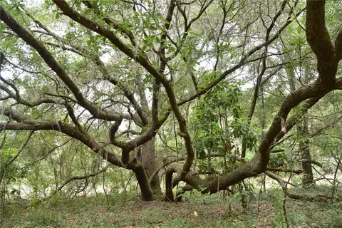 Cr-1474, Gainesville, FL 32641