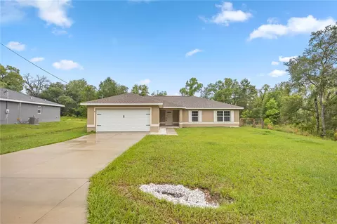 8 Guava Place Pass, Ocklawaha, FL 32179