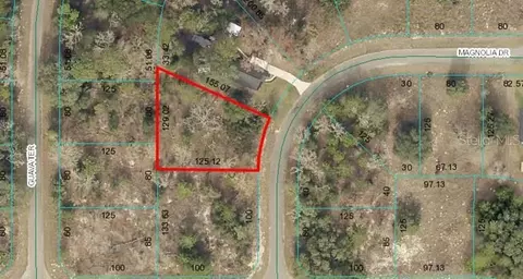 lot2 Magnolia Dr, Ocklawaha, FL 32179