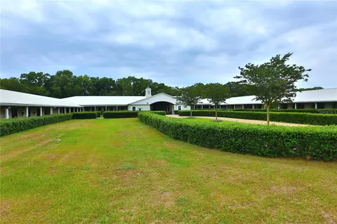 19650 NE 17th Pl, Williston, FL 32696 photo 36