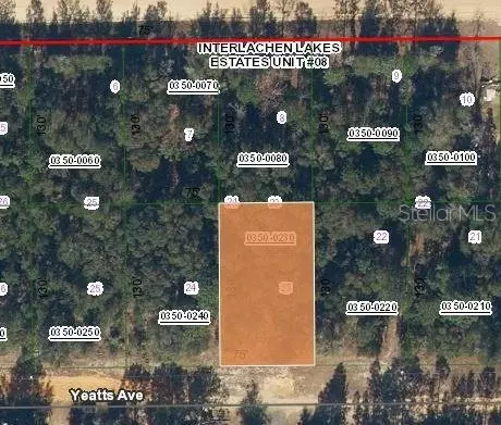 Yeatts Avenue, Interlachen, FL 32148