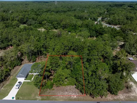 9900 N Langdom Rd, Citrus Springs, FL 34433
