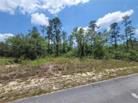 Tbd SW Barnacle Drive, Dunnellon, FL 34431