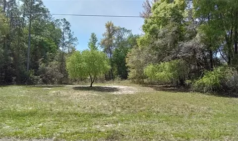 536 W Eridani Ct, Citrus Springs, FL 34434