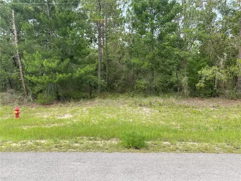 tbd SW 136 St, Ocala, FL 34473
