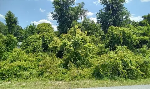 Larch Course, Ocala, FL 34480