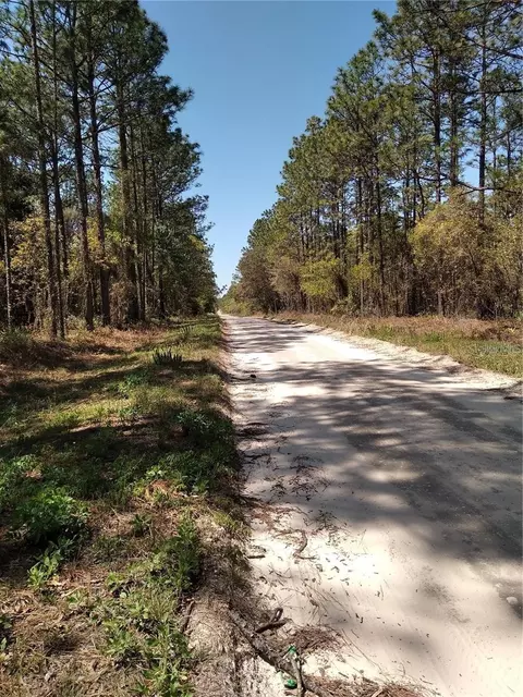 Tbd SW 76th Lane, Dunnellon, FL 34432