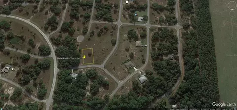 malauka court LOT 28, Ocklawaha, FL 32179